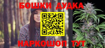 СК Абакан