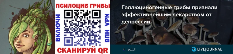 Галлюциногенные грибы GOLDEN TEACHER Амурск